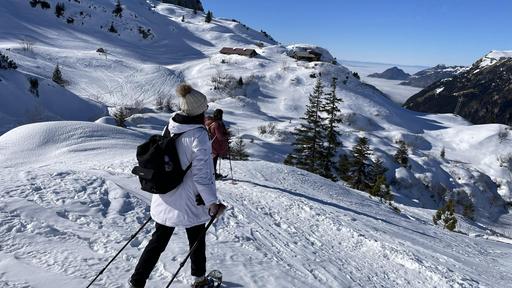 Schneeschuhwandern title image